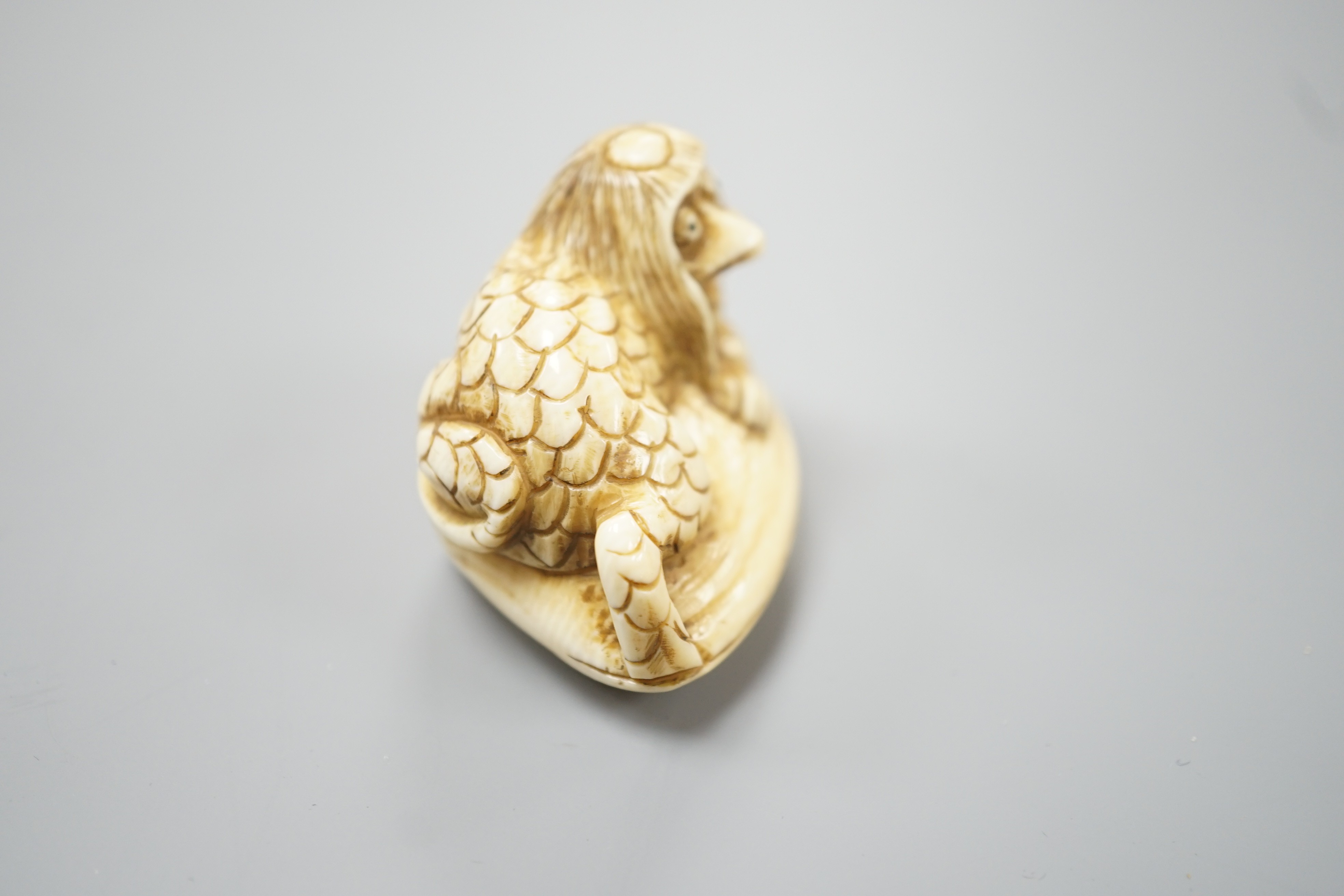A Japanese ivory netsuke of a kappa on a clam shell, signed Gyokuzan, Meiji period, 4.8cm